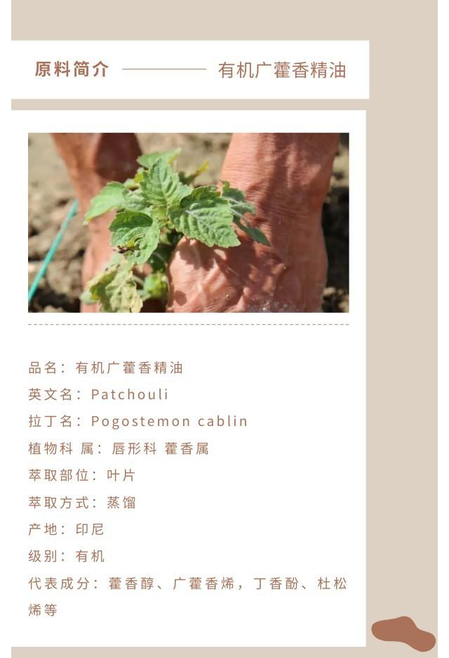 广藿香精油.jpg