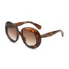 Gafas de Sol Ovaladas de Moda para Mujer con un Toque de Alta Gama, Hacen que el Rostro Parezca Más Pequeño, Estilo de Moda Retro Americano 2026, Protección UV