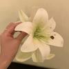 Presilha de Garra Flor de Lírio, Presilha de Cabelo Flor Artificial para Mulheres, Presilha de Tubarão Floral de Nicho, Acessório de Cabelo Atmosférico, Presilha de Garra Triangular