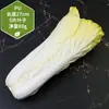 Juguete de Berenjena Grande Modelo de Fruta Vegetal Falsa Biónica Arreglo de Escena Adorno de Cocina Accesorio de Fotografía Vegetal de Imitación