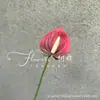 Antúrio Vermelho Único Lótus Guanyin Forma de Gota d'Água Antúrio Vermelho Flamingo Arranjo de Flores de Casamento Decoração Suave para Casa