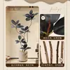 Planta Artificial Verde Black Diamond con un Toque de Lujo para Decoración de Sala de Estar, Planta de Interior Grande en Maceta, Árbol Falso, Planta Biomimética