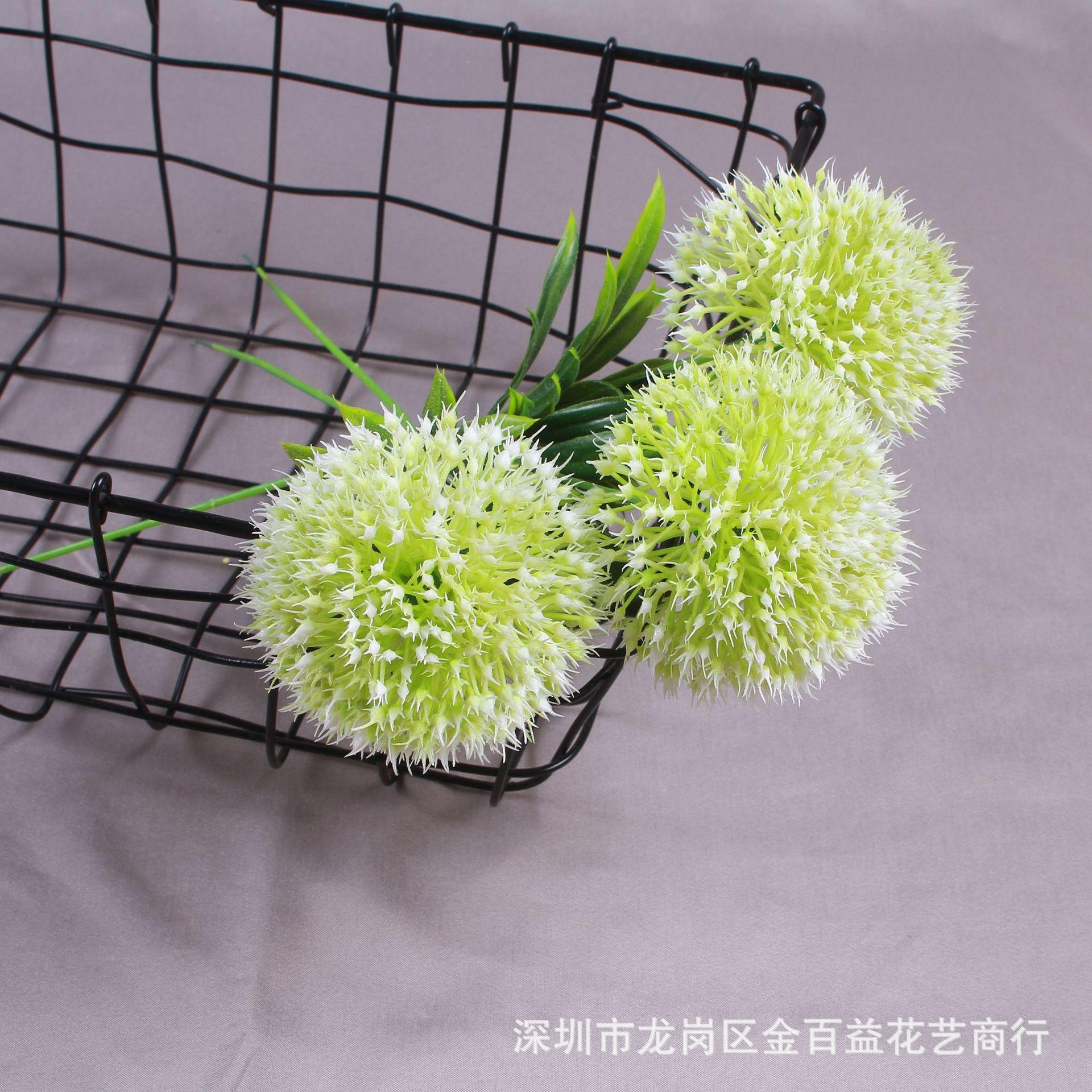 IMG_8560_副本.jpg