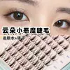 Pestañas de Deseo Pestañas Postizas Tipo Perro Ojos de Perro Ojos Grandes Redondos Cara Pestañas Perezoso Influencer de Cómics Naturales Al por Mayor Tres Partes