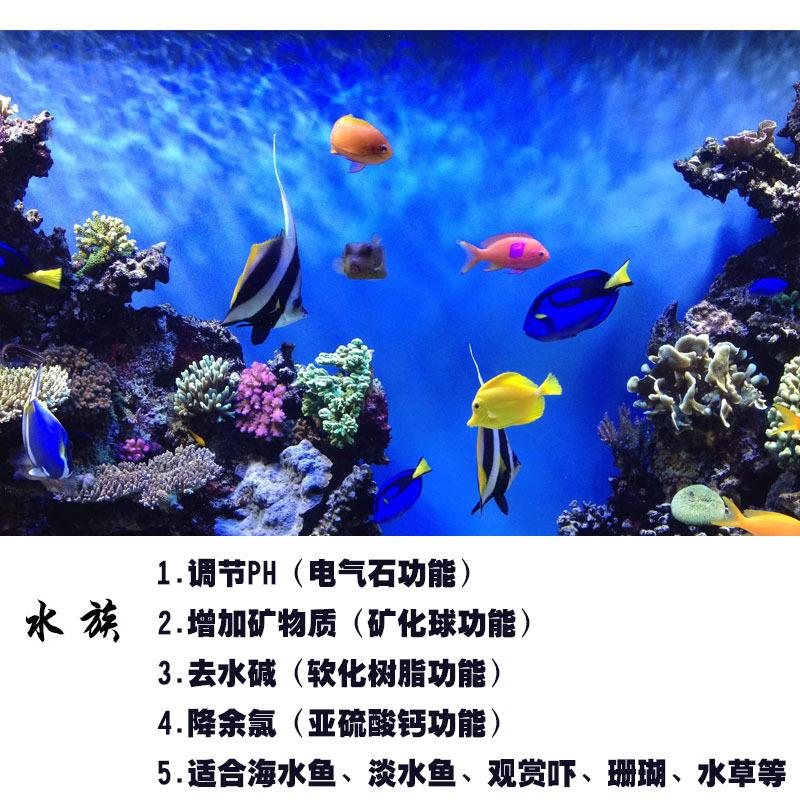 滤料集合1