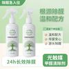 Spray Fotocatalítico Casero de Hierbas de Yunnan para Eliminación de Formaldehído Eliminador de Formaldehído para Casas Nuevas Purificación del Aire y Eliminación de Olores