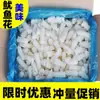 Flores de Lula Frescas 2,5kg, Flores de Peixe Fresco Congelado do Mar, Flores de Lula, Ingredientes para Churrasco, Meio Quilo de Lula Congelada