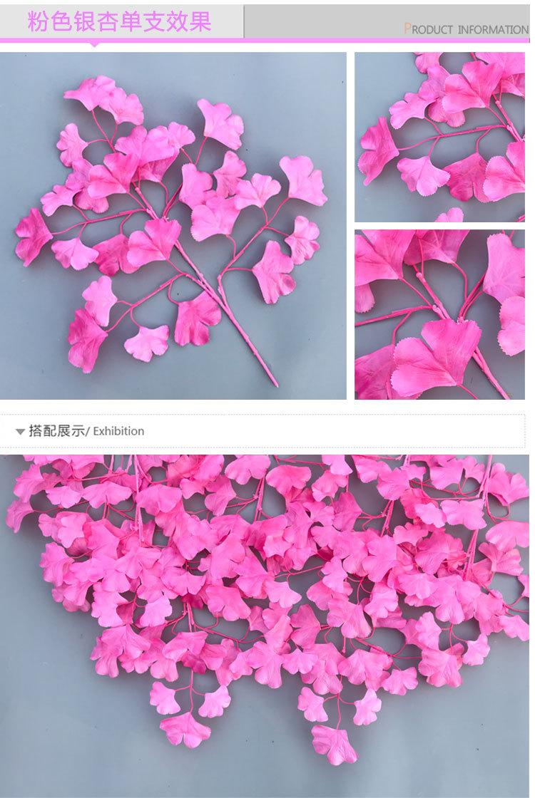 银杏叶详情_20.jpg