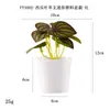 Más de 100 Tipos de Flores Artificiales y Plantas Verdes, Combinaciones de Plantas Artificiales en Maceta de Plástico, Flores Artificiales de Venta Caliente Transfronteriza, Mini Bonsáis Artificiales, Fuentes de Suministro