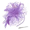 Diadema de Flores de Plumas de Carnaval Transfronterizo Fiesta Fiesta de Desempeño Accesorios para el Cabello de Plumas Diadema Accesorios Retro para el Cabello de Novia