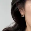 Aretes de Calabaza Hueca con Incrustaciones de Circonita Ojo de Tigre Fulu Pendientes de Lujo Ligero de Gama Alta Clips para Orejas Pendientes sin Perforación