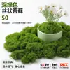 Alfombra de Césped Musgo Artificial Decoración de Paisaje Micro Escena Plantas Verdes Alfombra de Césped Biónica Plantas Verdes Eternas Tela de Musgo