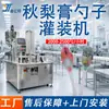 Máquina Automática de Relleno de Pasta de Pera Otoñal con Forma de Cuchara Máquina de Empaquetado de Miel con Cuchara de Limón Máquina de Sellado de Miel con Cuchara de Semillas de Chía