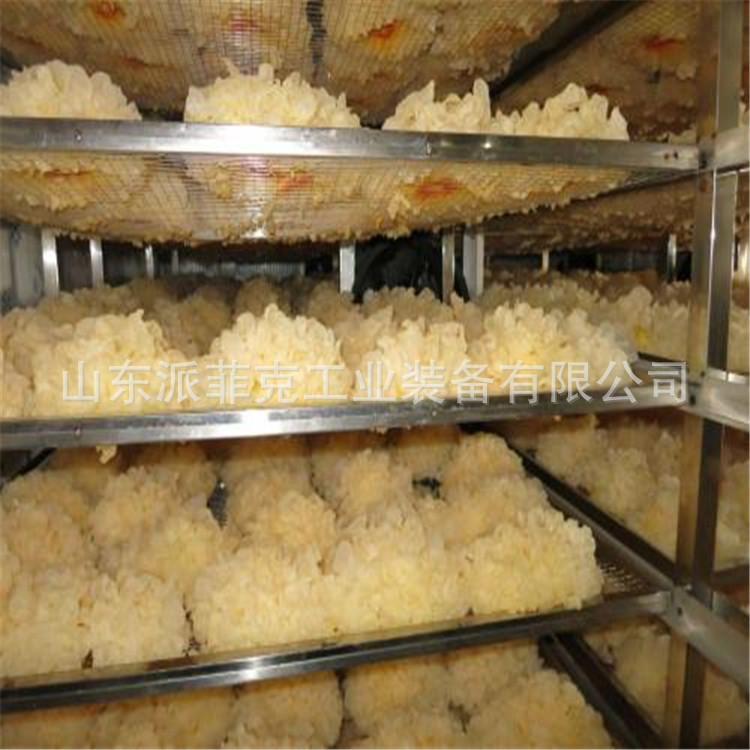 u=772109991,3345920879&fm=