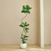 Plantas Verdes Artificiais, Árvore de Borracha Preta de Luxo de Alta Qualidade, Figueira Lira, Árvore Decorativa Artificial de Chão de Alta Qualidade para Sala de Estar Interna