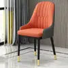 Cadeira de jantar de luxo leve nórdica, cadeira com encosto, cadeira de mesa de jantar, cadeira de hotel, cadeira de escritório para computador de mesa, cadeira para casa de manicure e maquiagem