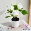 Flores Artificiales Premium, Rosas de Jardín de Tres Cabezas, Bonsái Pequeño, Flores de Seda, Flores Falsas, Decoraciones para Sala de Estar y Dormitorio, Juego de Mesa