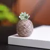 Adornos de Piña Dorada de Resina Rellena de Cristal Natural Mascota Fresca y Linda Decoraciones de Escritorio de Escritorio