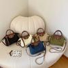 2025 Nova Bolsa de Tecido Oxford Feminina Bolsas Dragão Francesas Costura Bolsa Dumpling Bolsa de Mão Simples Bolsa Geral