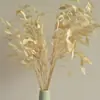 Hierba Diamante Flores Secas Personalizadas Entrada del Hogar Dormitorio Pequeña Decoración Fresca Arreglo Floral Accesorios para Fotografía de Flores Venta al por Mayor