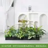[Serie Hc-An7] Macetero de Flores de Planta Verde Simulada Decoración de Sala de Estar Interior Ventana de Piso a Techo Paisajismo Fotografía de Bodas Camino