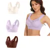 Conjunto de 3 Piezas Transfronterizo Talla Grande Sin Alambres Chaleco de Encaje Ropa Interior Delgado Recoge Lado Pecho Push-Up Sujetador Ajustable Fabricante