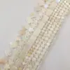 Cuentas de Disco Rectangular de Concha de Agua Dulce Chapada en Metal Transfronterizo, Abalorios de Concha Ligera, Trébol de Cuatro Hojas, Estrella de Cinco Puntas, Cuentas Redondas, Accesorios para Joyería DIY