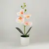 Orquídea Phalaenopsis Artificial com 4 Flores, Pequeno Ornamento Bonsai, Adereço de Planta Verde para Fotografia, Decoração de Sala de Estar, Ornamento de Flor Artificial para Filme
