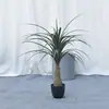 Transfronteiriço Amazon Sangue de Dragão Artificial Madeira de Ferro Hotel Paisagismo Plantas em Vasos Internas Decorações Fabricante Feito Sob Medida Plantas Verdes Flores Artificiais