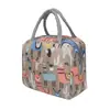 Bolsa de Lancheira para Crianças Bolsa de Mão Bolsa de Refeição Bolsa de Lancheira para Alunos do Ensino Fundamental Bolsa Térmica Portátil Bolsa de Refeição Bolsa de Lancheira Bolsa de Refeição Desenho Animado