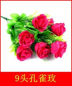 9头孔雀玫