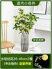 Sementes de Osmanthus Hidropônico em Vasos com Botões e Fragrância Forte para Interior, Escritório, Mesa, Cultivo em Água o Ano Todo