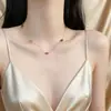 Colar de Aço Titânio com Franjas e Pingente Nariz de Porco Estilo Europeu e Americano de Luxo Leve para Mulheres, Corrente de Clavícula Longa em Camadas Exquisita e de Alta Qualidade para Outono e Inverno
