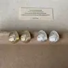 Pendientes Metálicos de Zirconia Estilo Ráfaga de Estrella Cepillados Tipo Frijol de Lujo Ligero y de Gama Alta para Mujer Moda Elegante de Nicho Pendientes de Moda