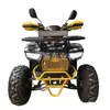 Moto de Playa ATV Modelo a Gasolina 125cc Motocicleta de Playa Motocicleta Todoterreno de Cuatro Ruedas Vehículo Todoterreno de Montaña