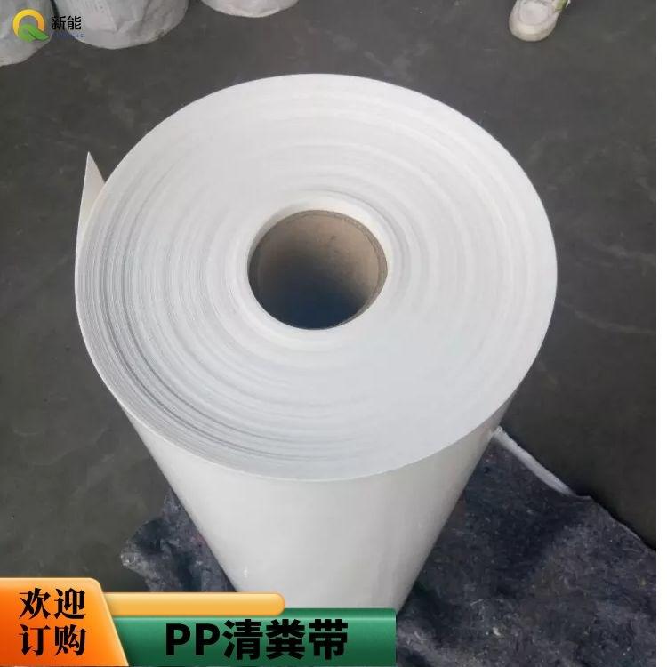 粪带 (2)