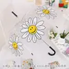 Estilo Fresco e Simples Guarda-chuva de Plástico Transparente Longo em Forma de Arco Apollo para Estudantes, Performances Infantis, Personalização com Logo no Atacado