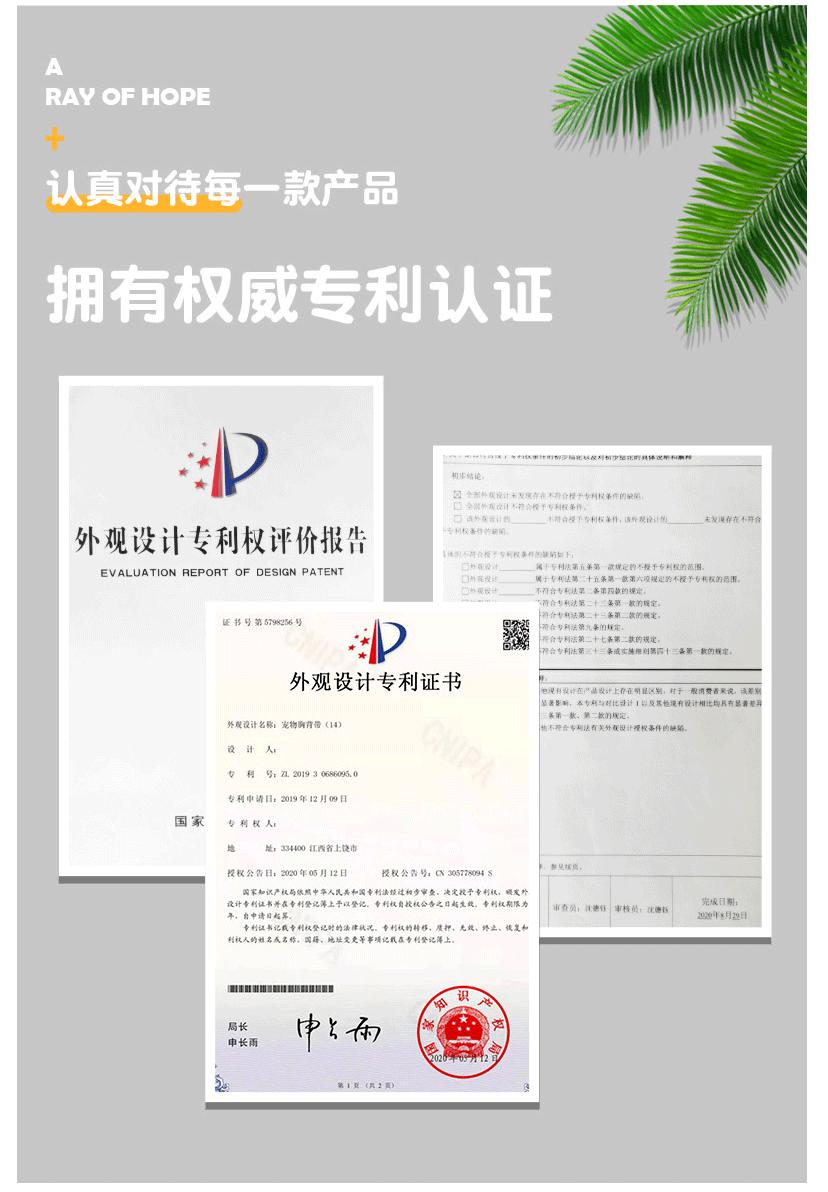 猫咪胸背带背心式反光猫咪胸背带防挣脱遛猫绳透气宠物胸背带批发
