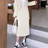Traje de Negocios Traje de Mujer Primavera y Otoño Vestido Temperamento Estilo Diosa Vestido de Presentadora Mono Vestido Conjunto de Dos Piezas