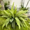 Helechos Simulados, Pasto Persa, Ramas de Pino, Plantas Verdes para Paisajismo, Adornos para Decoración de Bodas en Casa, Productos Terminados de Alta Gama
