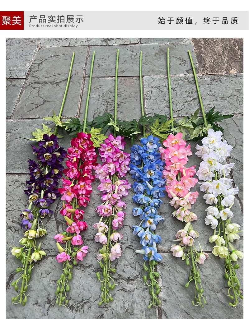 聚美-肯尼亚大飞燕草-详情_05.jpg