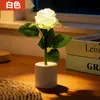 Luz Nocturna LED de Rosa DIY Nueva Venta Caliente Transfronteriza Regalo de San Valentín Lámpara Maceta Lámpara de Mesa de Ambiente Luz Nocturna Creativa