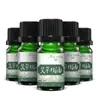 10ml Artemisia argyi erva massagem corporal massagem óleo essencial planta rosa gengibre raspagem rosa gengibre óleo composto atacado