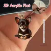 Tapón de Polvo para Teléfono Acrílico Tipo Colgante de Gato Pequeño Enojado 2D Popular Transfronterizo Tipo-C