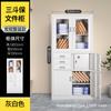 Gabinete de Datos de Hierro para Oficina Archivador Gabinete Bajo con Cerradura Gabinete para Herramientas Balcón Tipo Cajonera Casillero Gabinete Completo