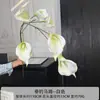Jin Xi Flor Branca Simulada Diamante Rosa Rosa Hortênsia Decoração de Auditório de Casamento Material Floral Decoração de Sala de Estar em Casa Flor Artificial
