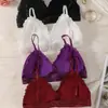 Nuevo Sujetador Sexy de Encaje Ropa Interior sin Marcas con Almohadilla en el Pecho Sujetador Push-up con Broche Hermosa Espalda Base Triángulo Taza Ropa Interior