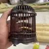 Jaula de Saltamontes y Grillos Modelo Nuevo de Alta Calidad, Jaula de Saltamontes Hecha a Mano a Prueba de Bambú, Jaula de Plástico para Insectos Cantores