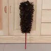 Plumero [Promoción Deficitaria] Lavable, Apto para Uso en Casa y Coche, No Pierde Plumas.