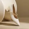 Sapatos Versáteis de Primavera/Outono para o Trabalho Estilo Francês 2026 Bico Fino Mary Janes Salto Bloco Salto Alto Tira Única Suave Novo Estilo Com